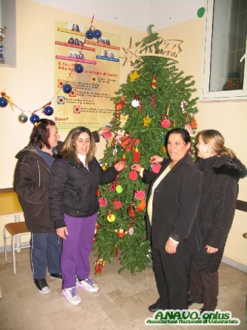 spoglio albero10_ 3